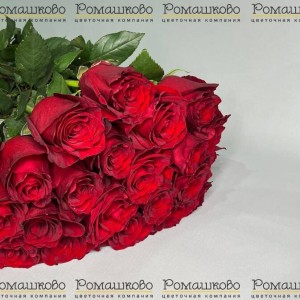 Превью Букет из 23 красных роз (60см)
