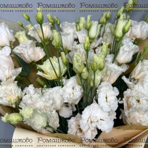 Превью 9 Эустом