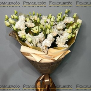 Превью 9 Эустом