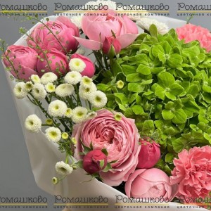 Превью Букет из гортензий «Нежное послание»