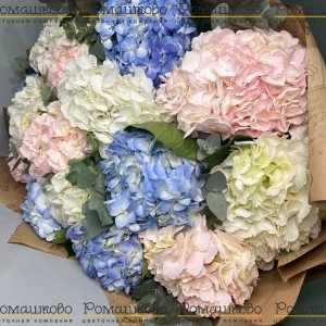 Превью Букет из 15 гортензий (Колумбия)