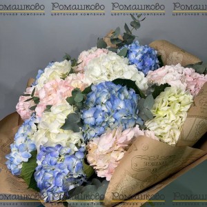 Превью Букет из 15 гортензий (Колумбия)