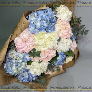 Превью Букет из 15 гортензий (Колумбия)