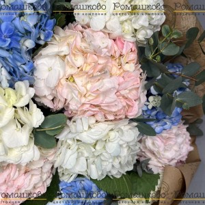 Превью Букет из 15 гортензий (Колумбия)