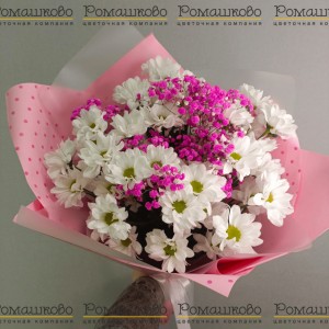 Превью Букет из ромашек «Белые ромашки»