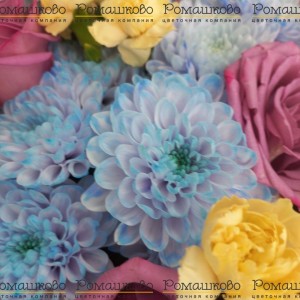 Превью Букет из хризантем «Заря над полями»