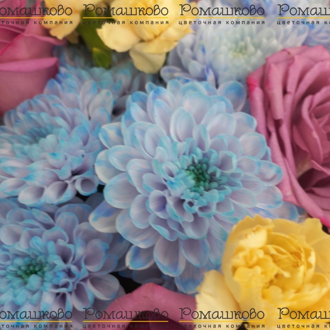 Букет из хризантем «Заря над полями»