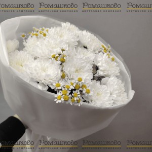 Превью Букет из хризантемы «Цветочная россыпь»