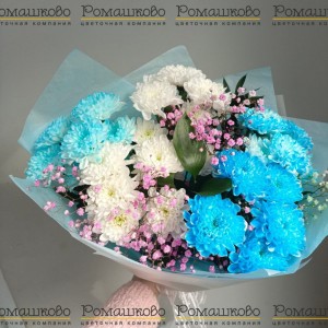 Превью Букет из хризантемы «Лазурный рай»