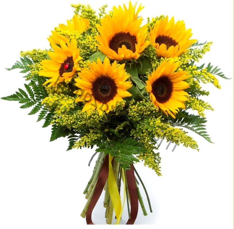 Букет из 7 подсолнухов «Дуэт»