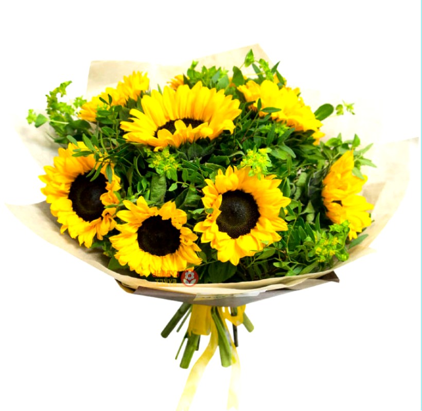 Букет из 9 подсолнухов «Очаровательной»