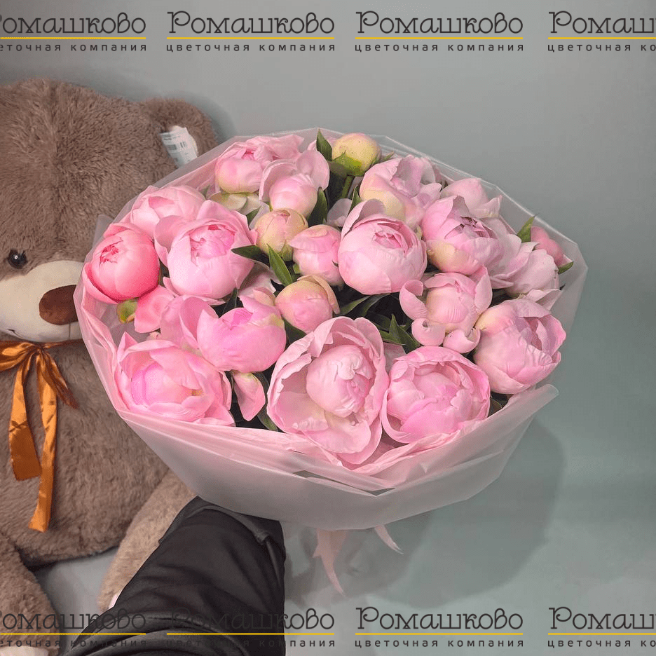 Букет из 21 Бело-Розовых Пионов «Дуэт нежности»