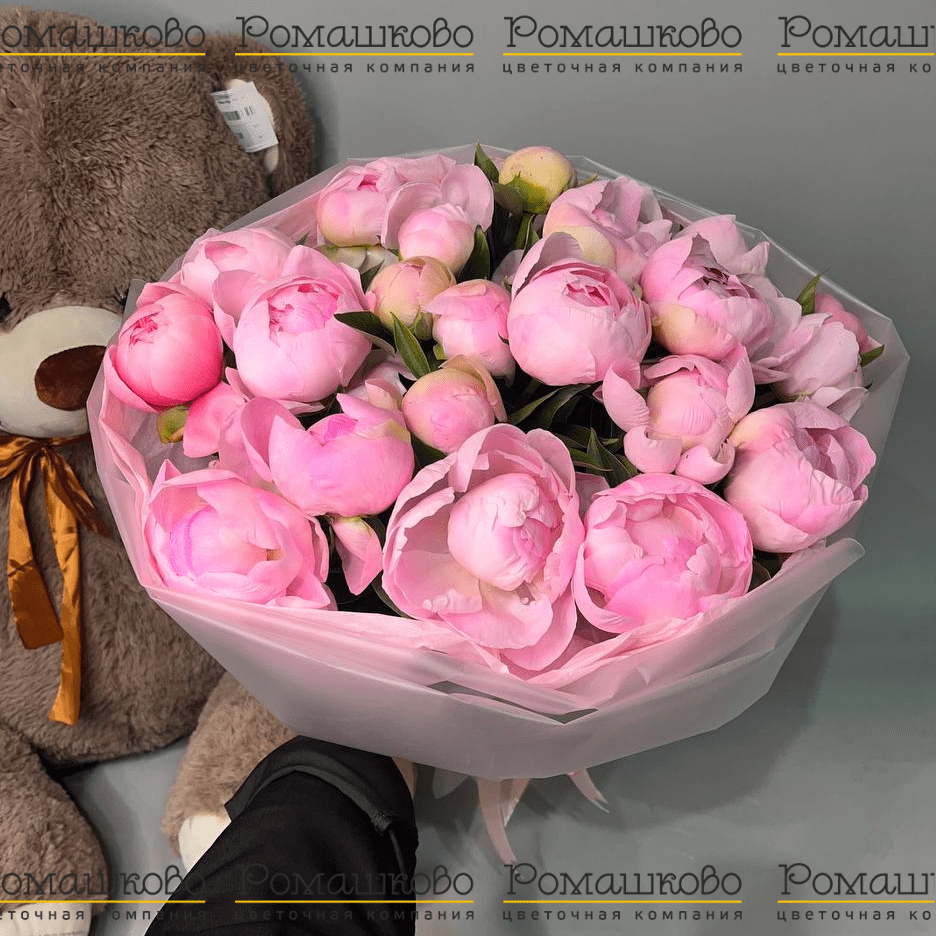 Букет из 21 Бело-Розовых Пионов «Дуэт нежности»