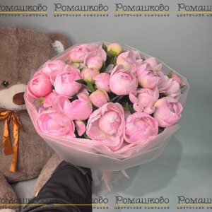 Превью Букет из 21 Бело-Розовых Пионов «Дуэт нежности»