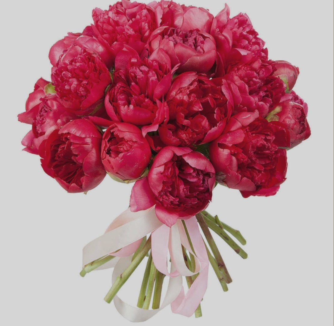 Букет из 11 Красных Пионов «Яркий»