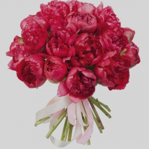 Превью Букет из 11 Красных Пионов «Яркий»