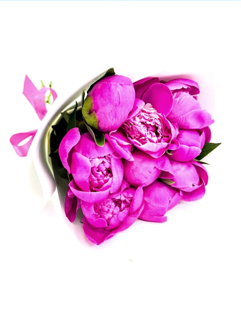 Букет из 11 Малиновых Пионов «Признание в любви»