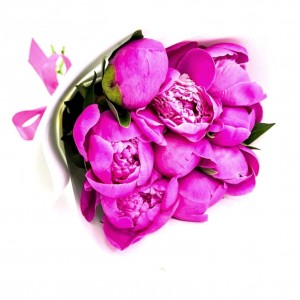 Превью Букет из 11 Малиновых Пионов «Признание в любви»