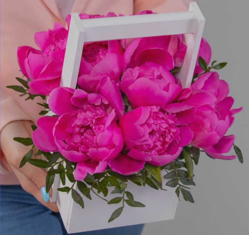 Букет из 11 Малиновых Пионов в корзине «Уют»