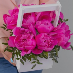 Превью Букет из 11 Малиновых Пионов в корзине «Уют»