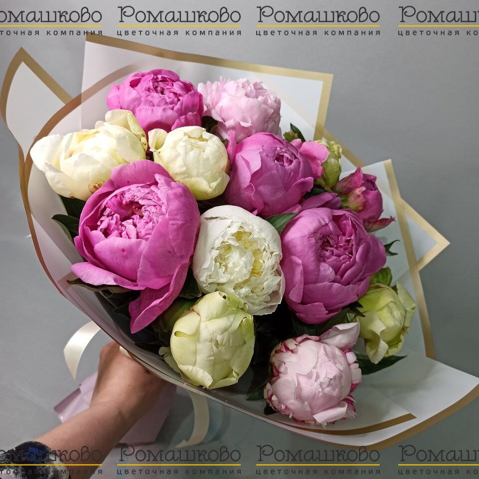 Букет из 11 Пионов Микс «Разноцветный калейдоскоп»