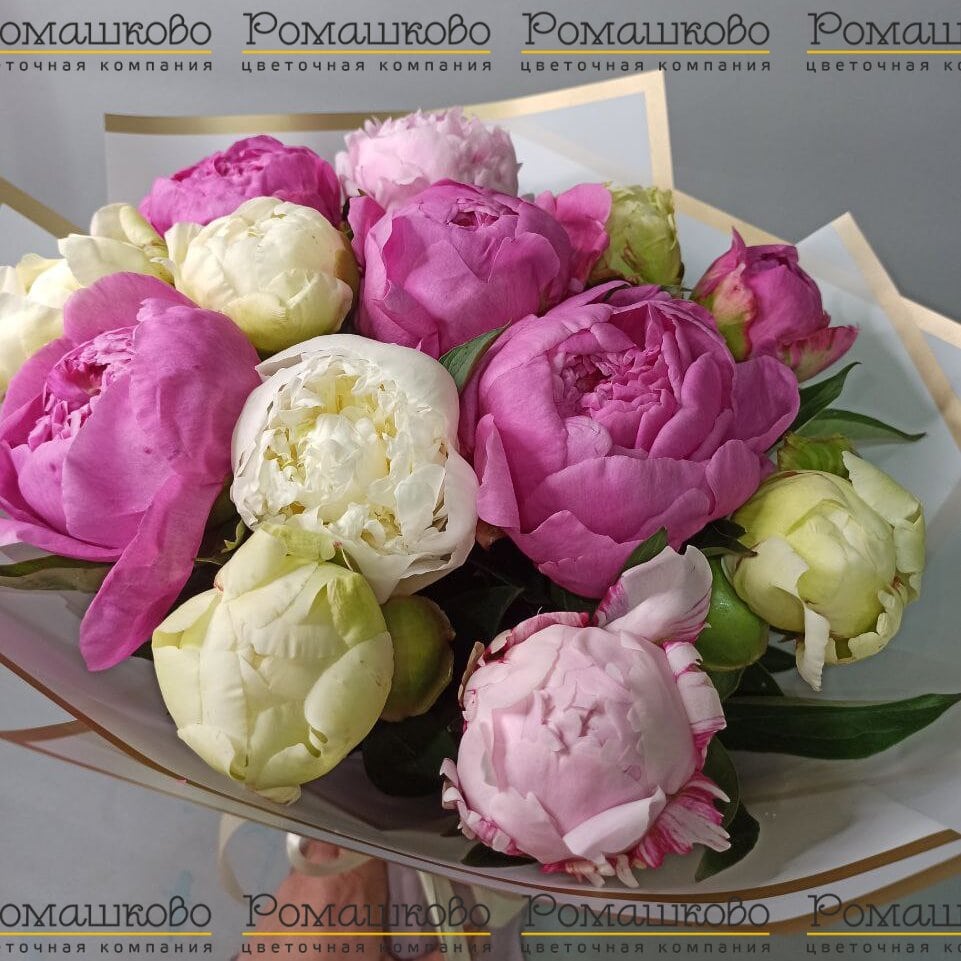 Букет из 11 Пионов Микс «Разноцветный калейдоскоп»