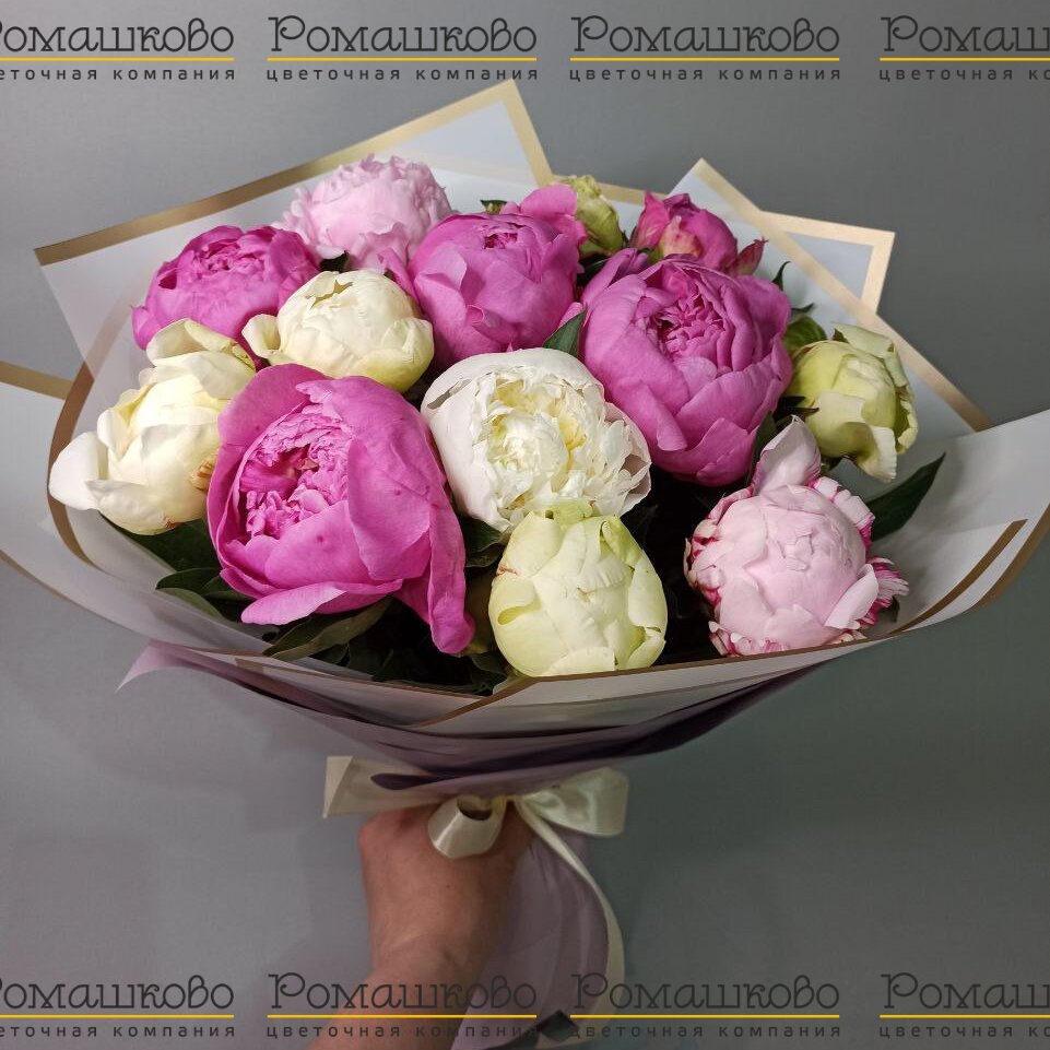 Букет из 11 Пионов Микс «Разноцветный калейдоскоп»
