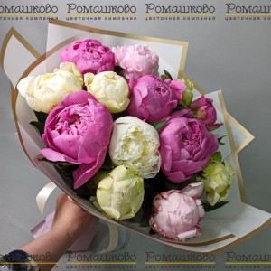 Превью Букет из 11 Пионов Микс «Разноцветный калейдоскоп»