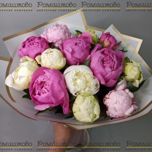 Превью Букет из 11 Пионов Микс «Разноцветный калейдоскоп»