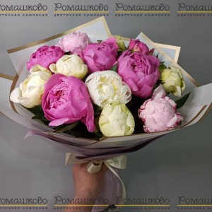 Превью Букет из 11 Пионов Микс «Разноцветный калейдоскоп»