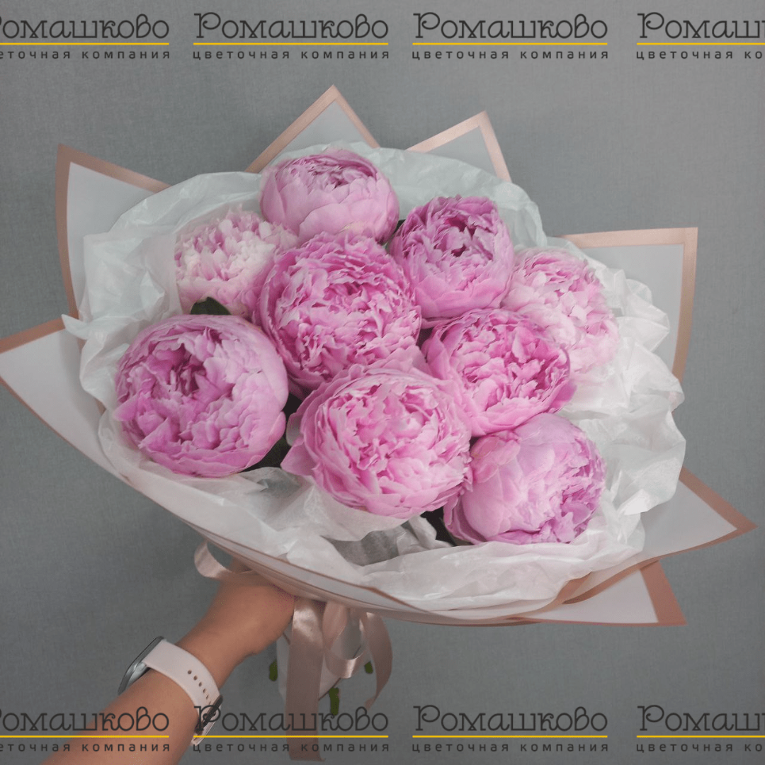 Букет из 9 Пионов Сара Бернар «Грация аристократии»