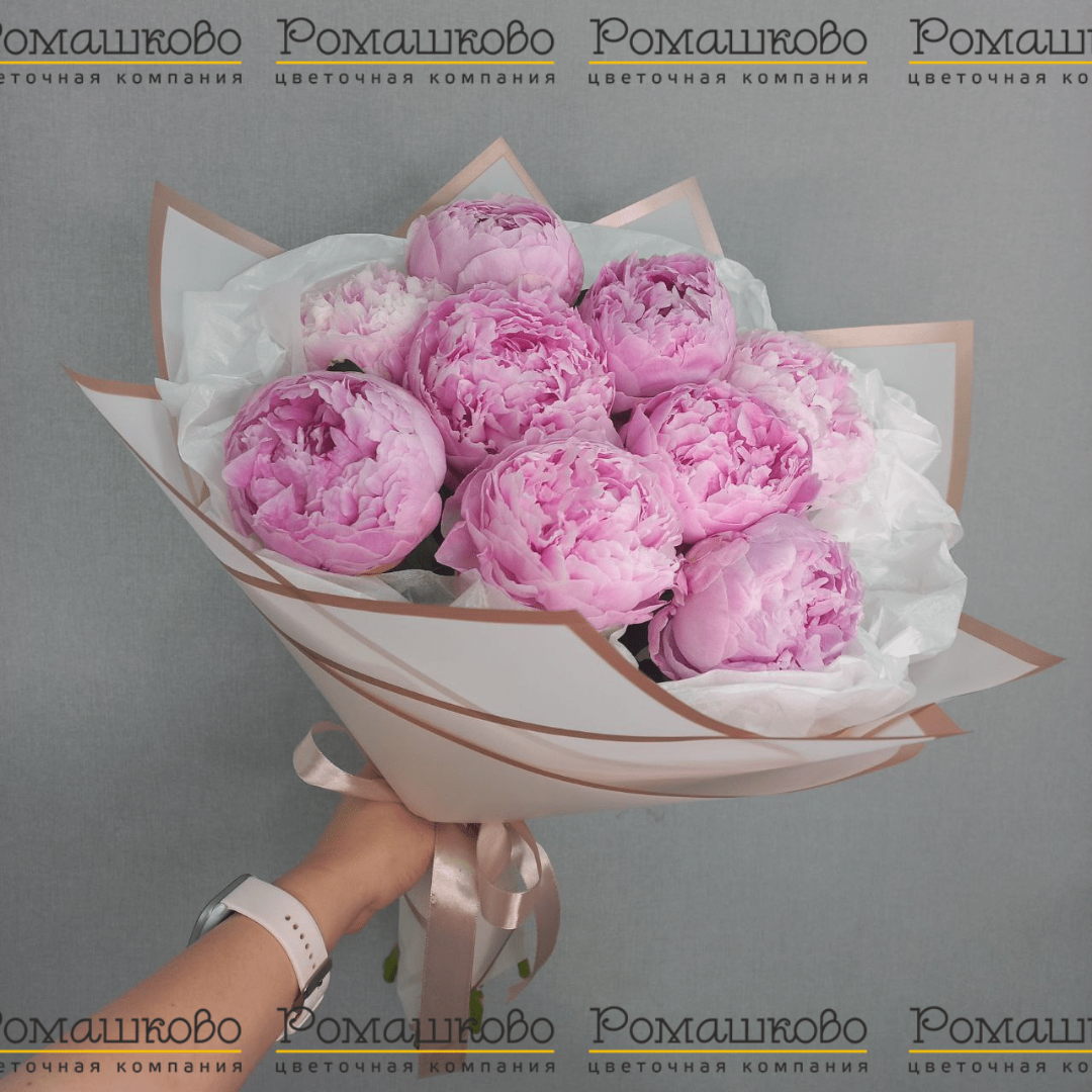 Букет из 9 Пионов Сара Бернар «Грация аристократии»