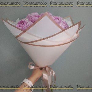 Превью Букет из 9 Пионов Сара Бернар «Грация аристократии»