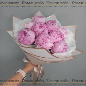 Превью Букет из 9 Пионов Сара Бернар «Грация аристократии»