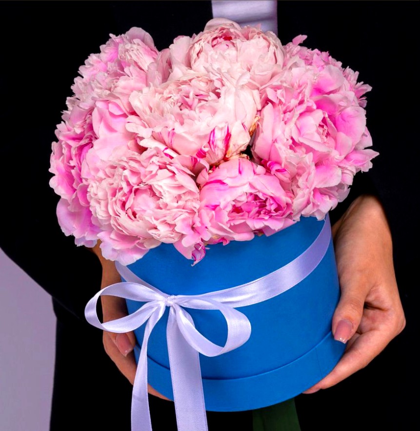 Букет из 11 Пионов Сара Бернар в коробке «Эстетика»