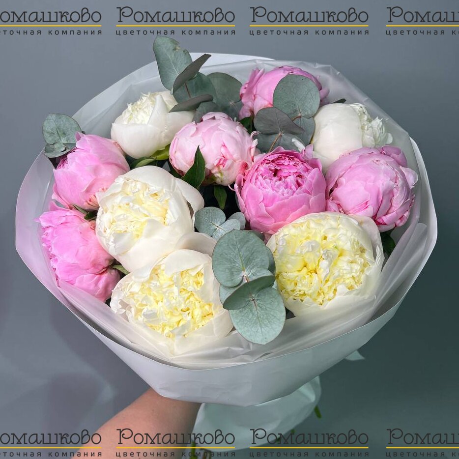 Букет из 11 Розовых и Белых Пионов «Симфония цветов»