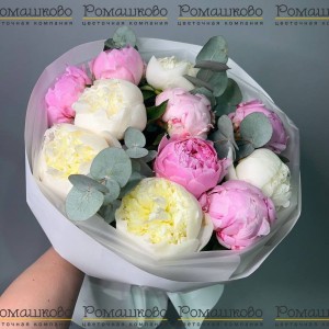 Превью Букет из 11 Розовых и Белых Пионов «Симфония цветов»