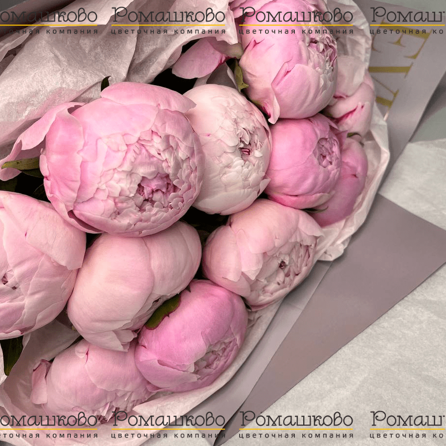 Букет из 11 Розовых Пионов «Нежный вздох»