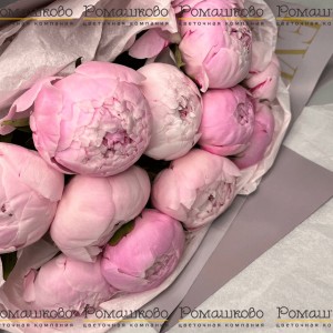 Превью Букет из 11 Розовых Пионов «Нежный вздох»