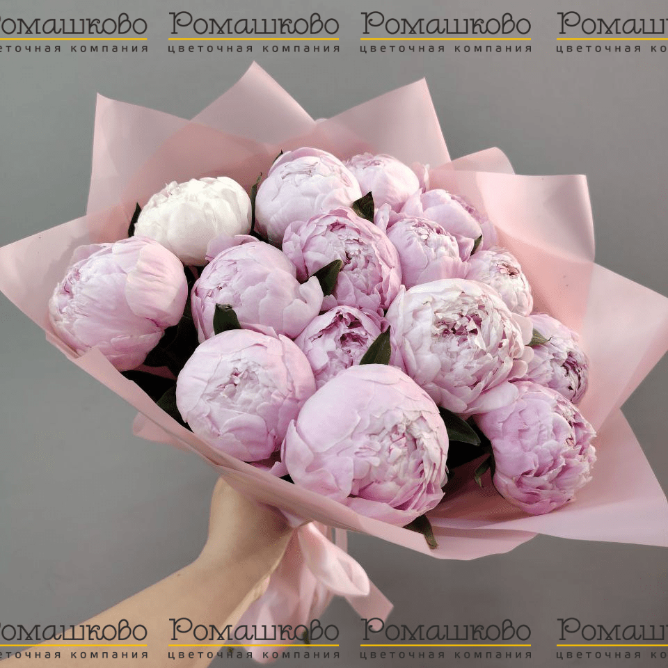 Букет из 13 Пионов Сара Бернар «Страсть»