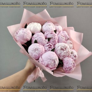 Превью Букет из 13 Пионов Сара Бернар «Страсть»