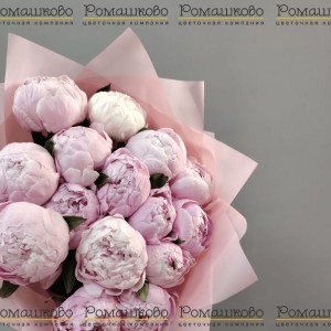 Превью Букет из 13 Пионов Сара Бернар «Страсть»