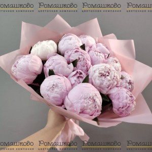 Превью Букет из 13 Пионов Сара Бернар «Страсть»