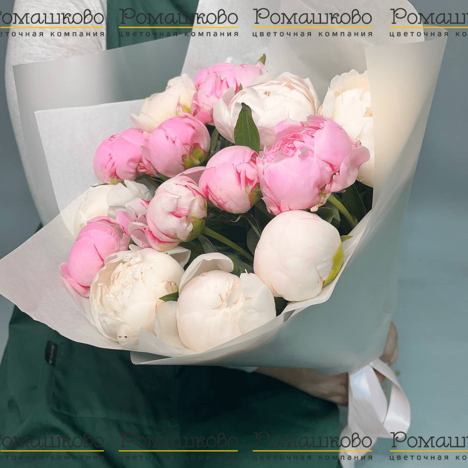 Букет из 15 Бело-Розовых Пионов «Романтическое сочетание»