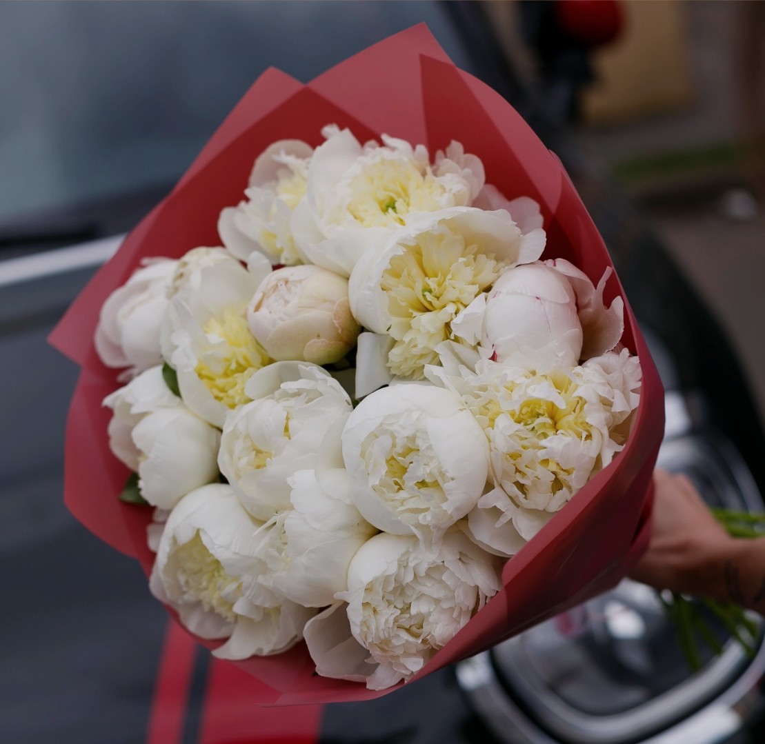 Букет из 15 Белых Пионов «Белая элегантность»
