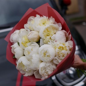 Превью Букет из 15 Белых Пионов «Белая элегантность»