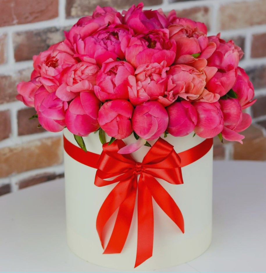 Букет из 35 Коралловых Пионов в коробке «Шикарный подарок»