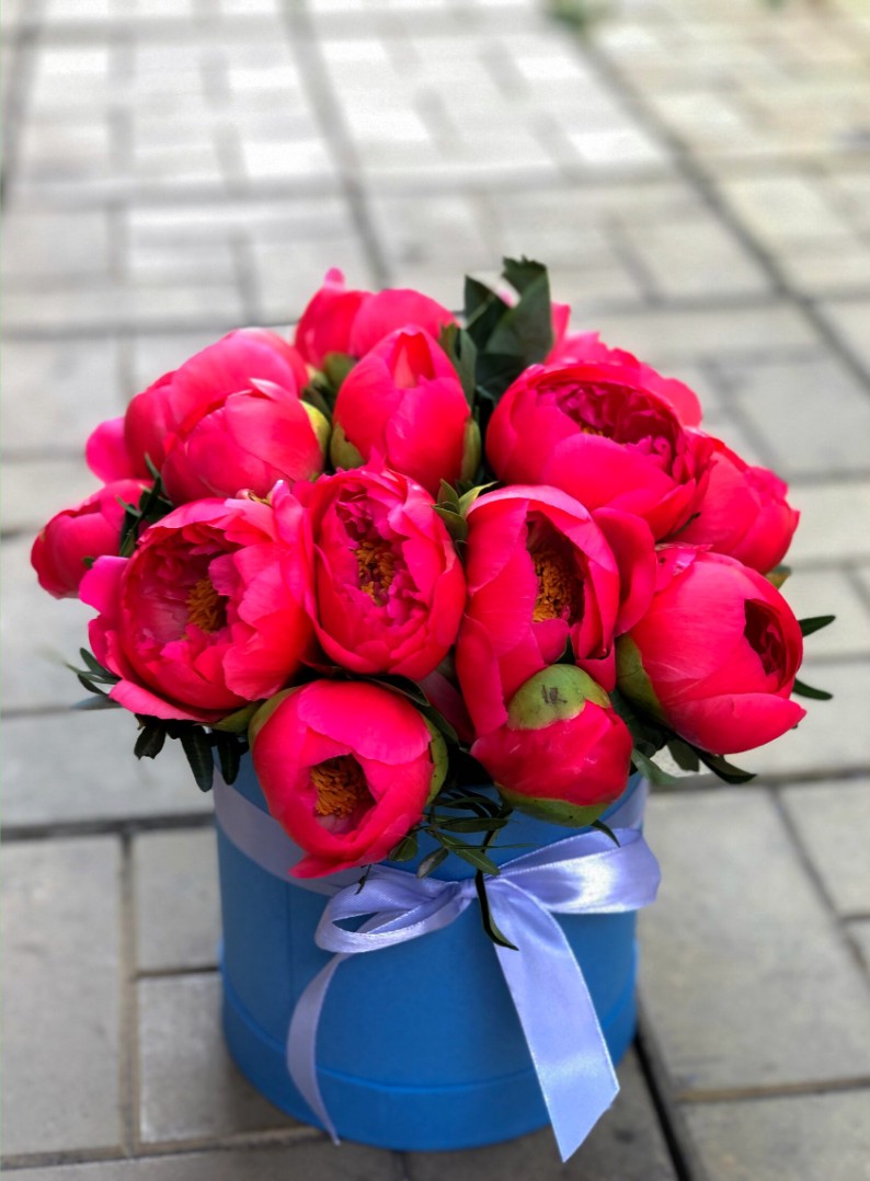 Букет из 15 Красных Пионов в коробке «Красавцы»