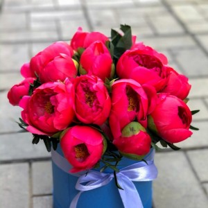 Превью Букет из 15 Красных Пионов в коробке «Красавцы»