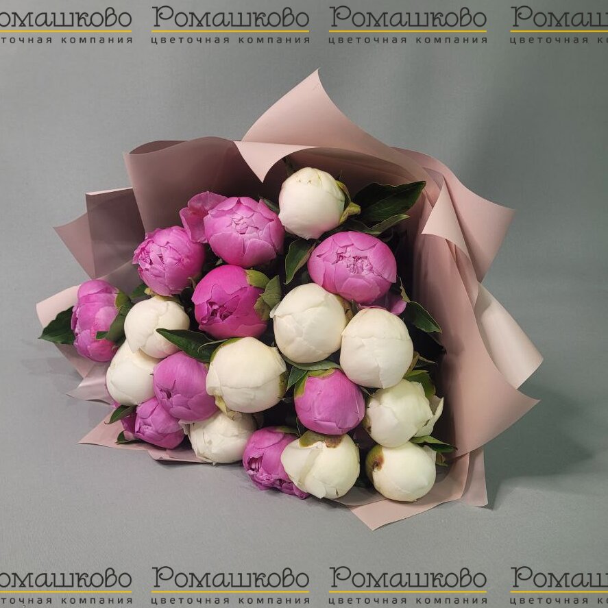 Букет из 19 Пионов Микс «Разнообразие красок»